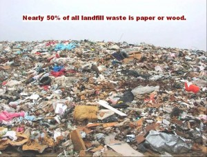 Nearly 50% of all landfill waste is paper or wood