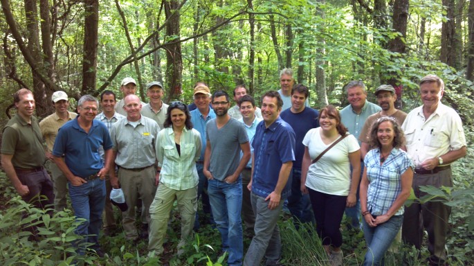 Carbon Canopy Vision Nears Reality 