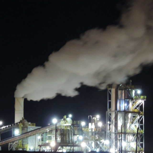 Enviva Investigation Intimidation in Ahoskie Dogwood AllianceDogwood