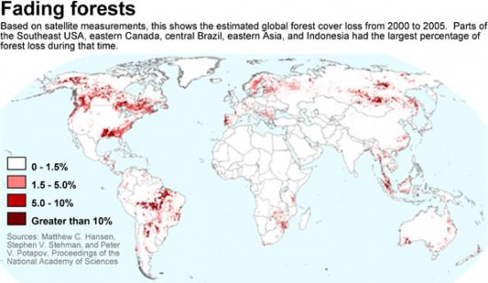 The Southern US is lit up red with forest cover loss.