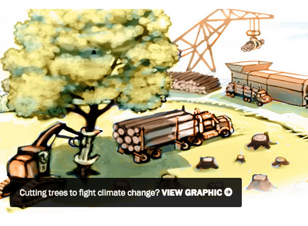 Climate and Logging