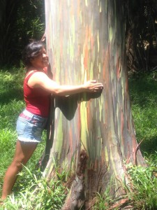 Julianna hugging a Rainbow Eucalyptus tree in Hawaii.
