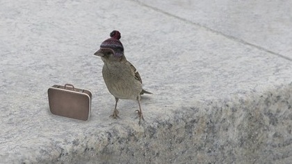birdie-suitcase