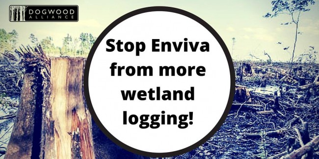 stop enviva from more wetland logging