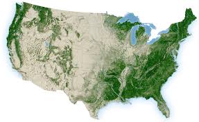 U.S. Forests