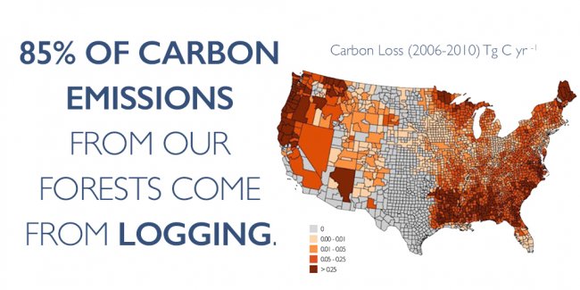Map of the United States that shows density of carbon emissions from forests by county. Most dense areas are in the Southeast and the the Pacific Northwest. Text says "85 percent of carbon emissions from our forests come from logging"