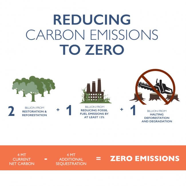 Reducing Carbon Emissions to Zero