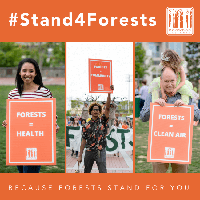 Stand4Forests because forests stand for you