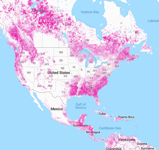 This map, from Global Forest Watch, displays forest degradation. The Southern U.S. stands out as a clear hotspot in North America.