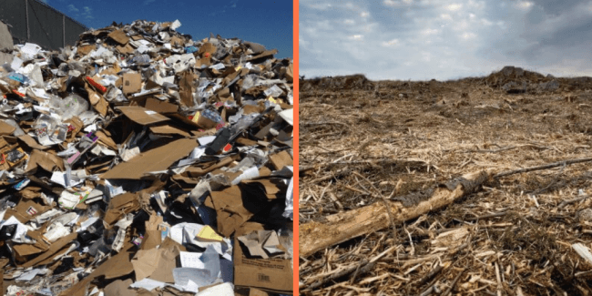 Cardboard Paper Trash and Clearcut