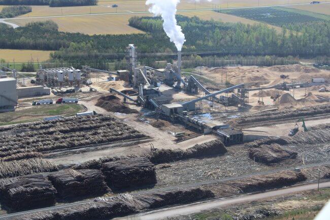 Aerial shot of Enviva Northampton wood pellet facility. Smokestack and industrial equipment in the background, piles and piles of timber logs in the foreground