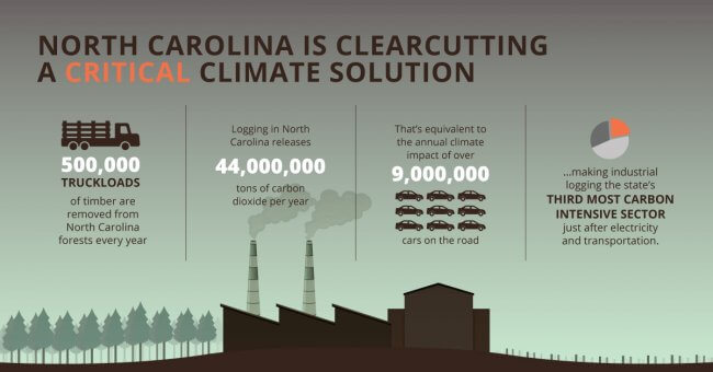 Infographic that shows the climate impact of industrial logging in NC. Reads: North Carolina is Clearcutting a Critical Climate Solution. 500,000 truckloads of timber are removed from North Carolina forests every year. Logging in North Carolian releases 44 million tons of carbon dioxide per year. That's equivalent to the annual climate impact of over 9 million cars on the road, making industrial logging the state's third most carbon intensive sector, just after electricity and transportation.