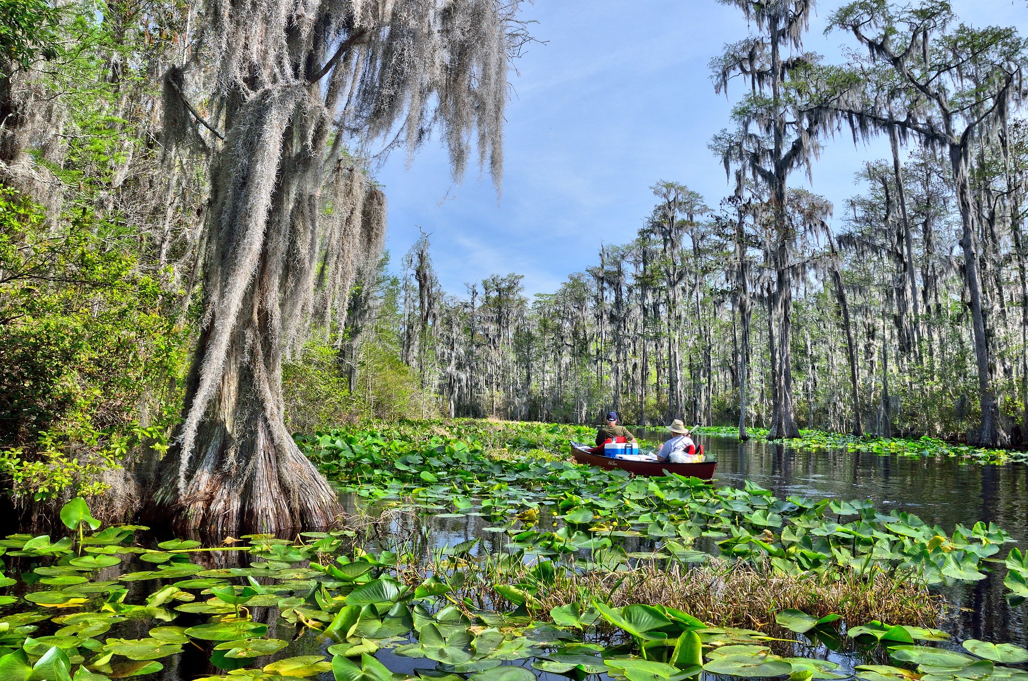 Okefenokee-swamp-with-kayakers