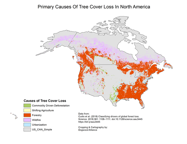 Primary causes of tree cover loss in North America