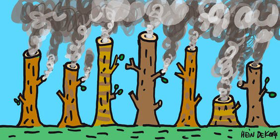 Southern forests trees as smokestacks