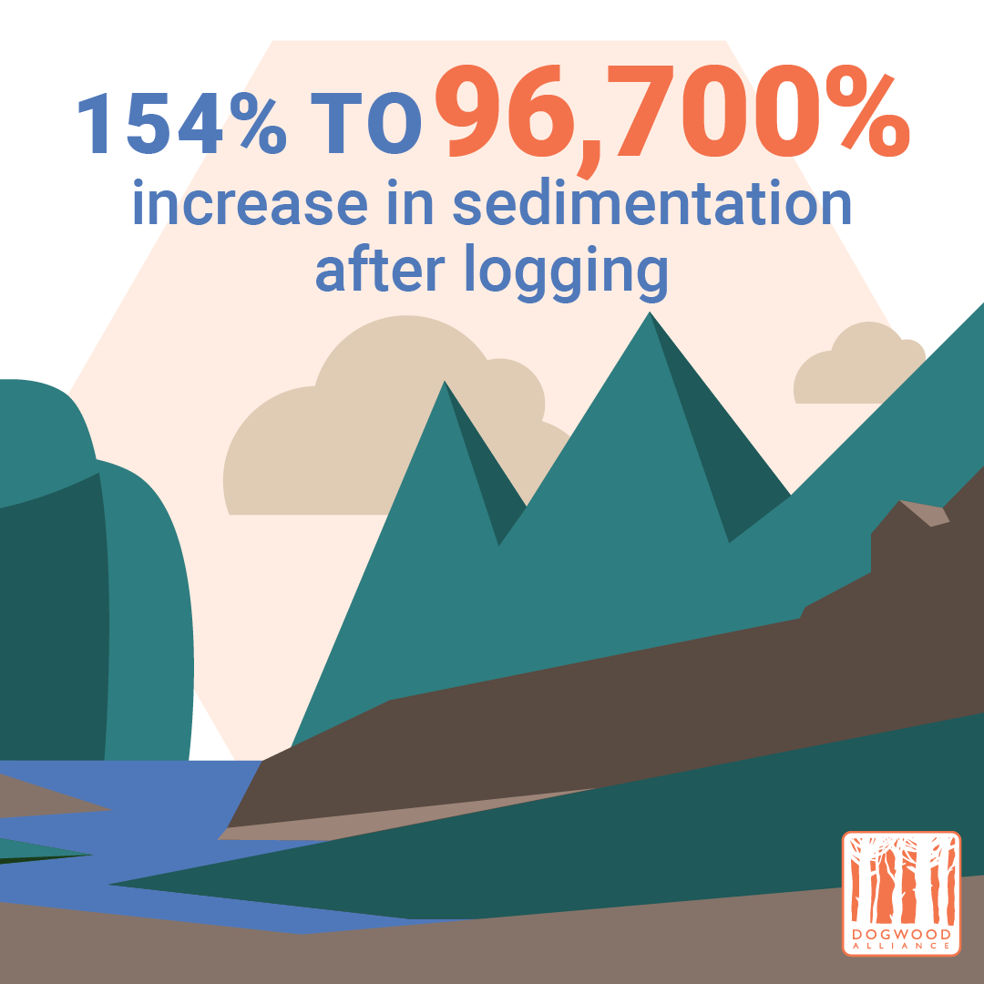 logging creates huge increases in sedimentation