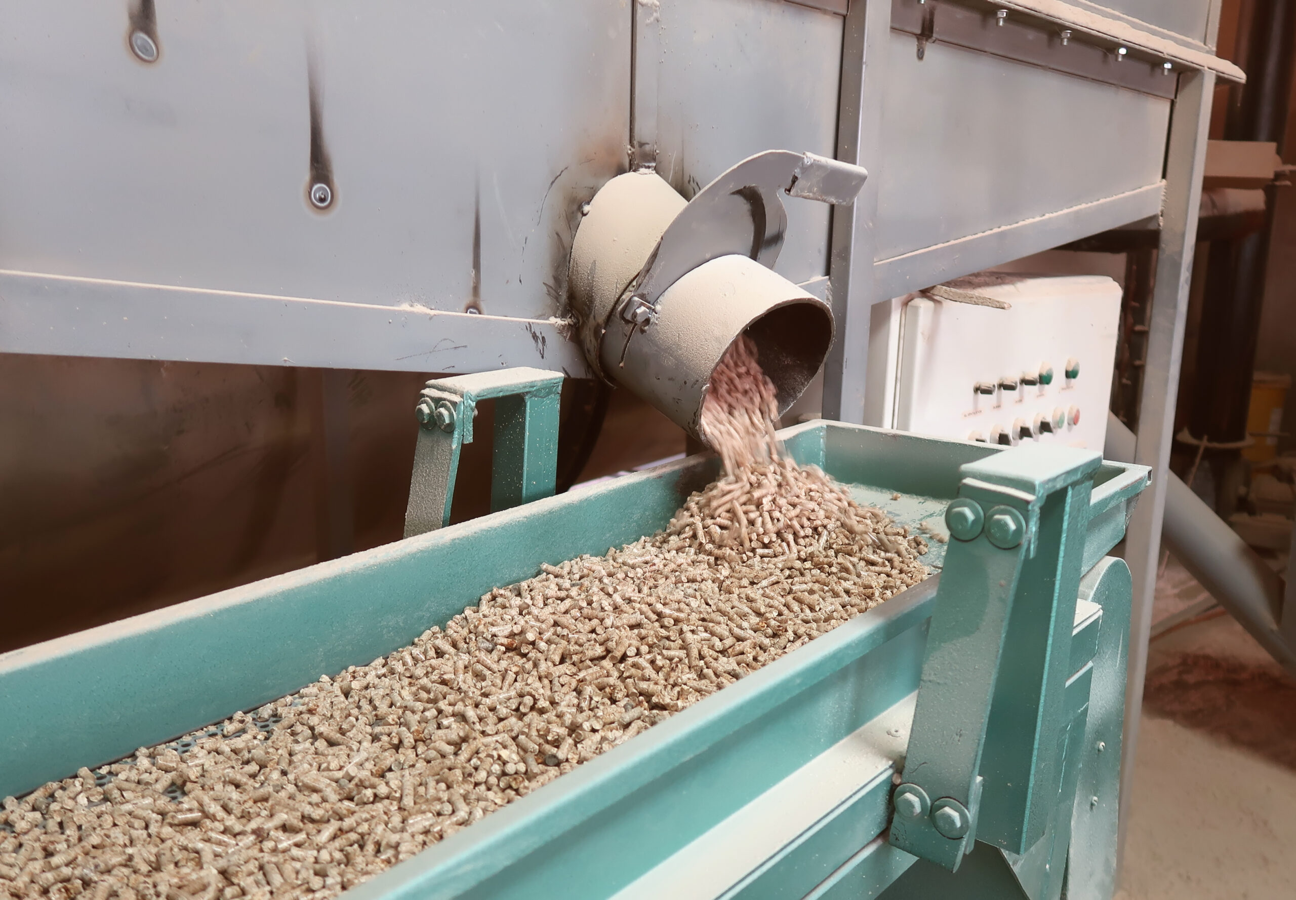 wood pellets emerge from a machine