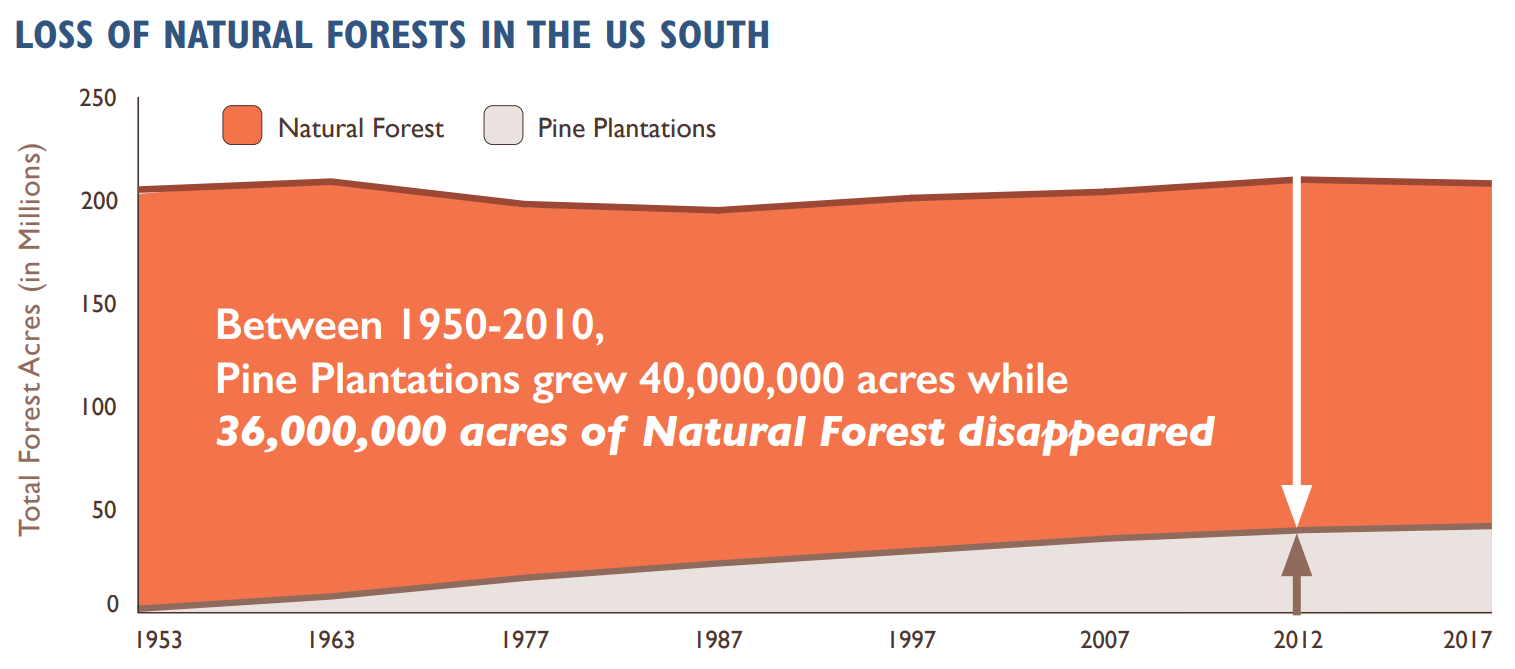 a graph showing the loss of natural forests to plantations