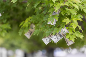 ecosystem services - money growing on a tree