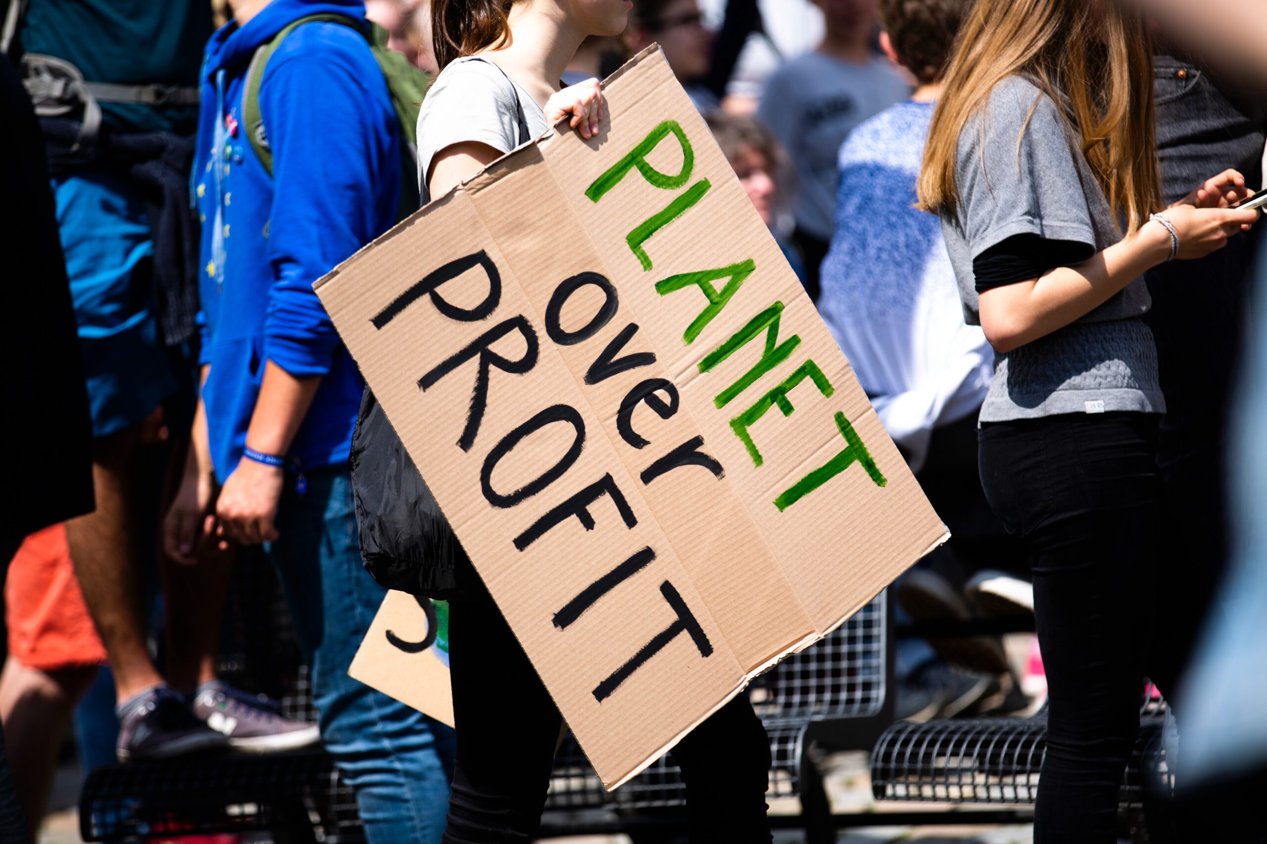 planet over profit - ecosystem services explained