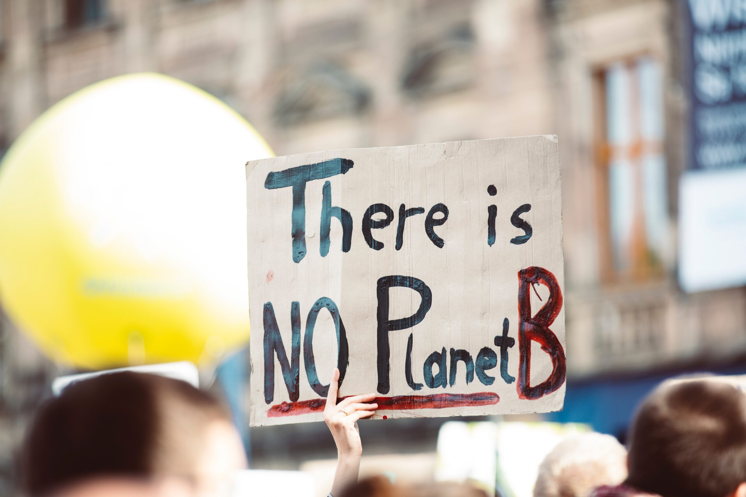 there is no planet b protest sign - ecosystem services