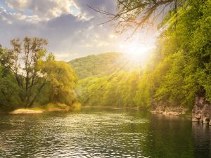 forest river with stones on shores at sunset