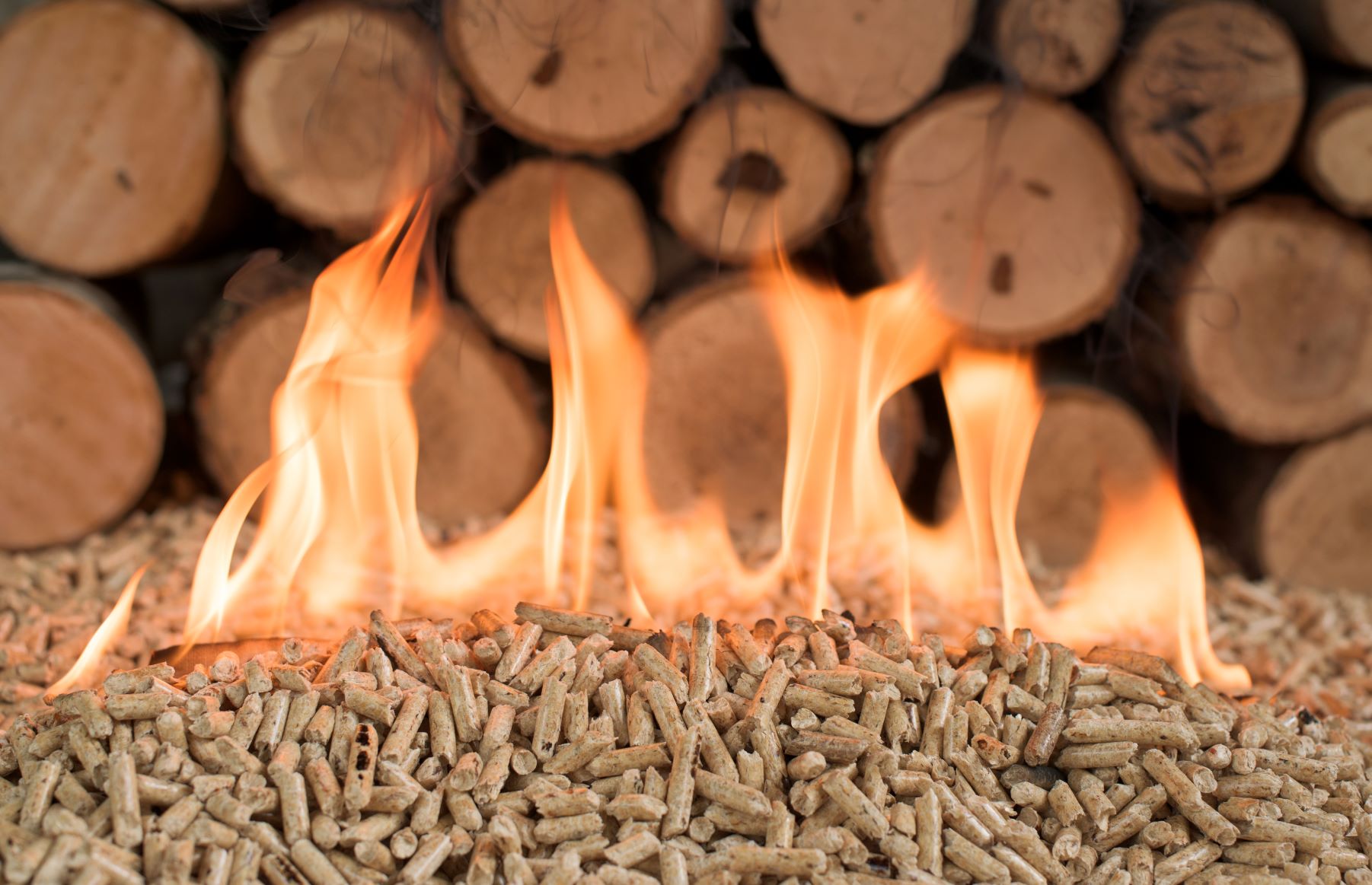 wood pellets are bad for the climate